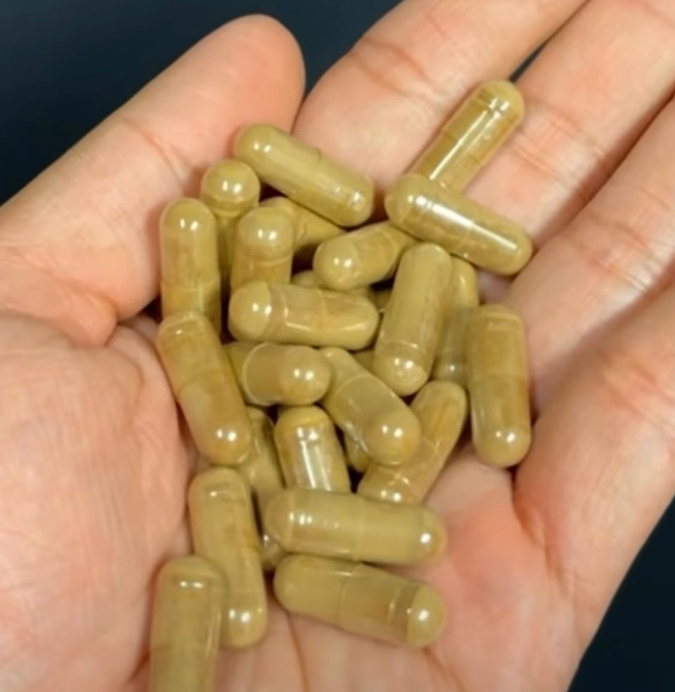 NEW ARRIVAL: GANAS for Energy & Focus 30 Day Packet